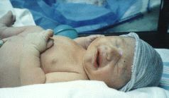 A very early picture of Jake