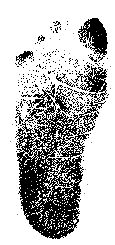 Jakes right foot print